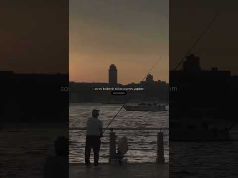 iki dost , çuvalla düşman #hayat #sınav #dost #düşman #nüfus #saygı #i̇stanbul #dünya #fishing #fpyシ