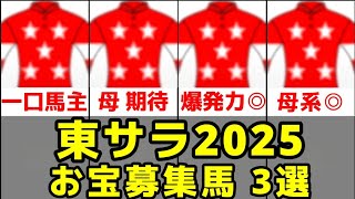 【東京サラブレッドクラブ】2025年度お宝募集馬3頭の血統分析【ムーチョアンユージュアル24/レッドラフェスタ24】