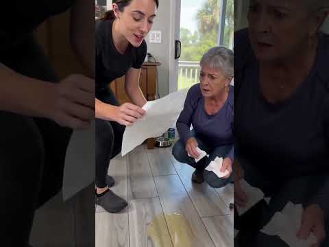 She Showed Grandma the Pad and Grandma Had Nothing to Say 😂🐾