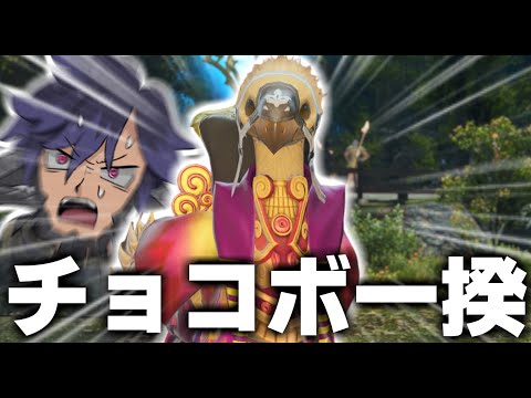 【FF14】最強のチョコボ達で強敵を粉砕したい【ワクめ部】