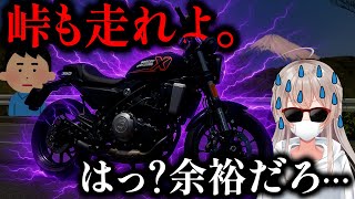 【X350】スポーツカーガチ勢がハーレーで峠を走った結果…【正直レビュー】