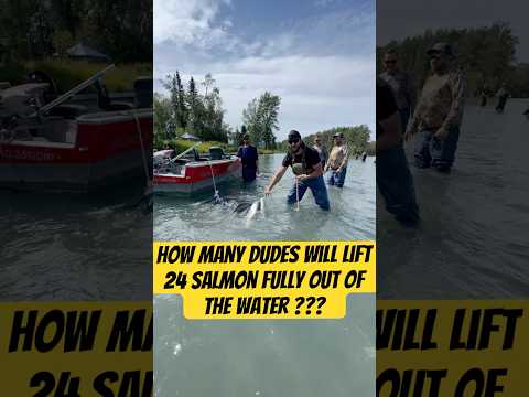 Need Some Help #fishing #fishinglife #friends #alaska #salmonrun #theoutlander #fun #shortsfeed