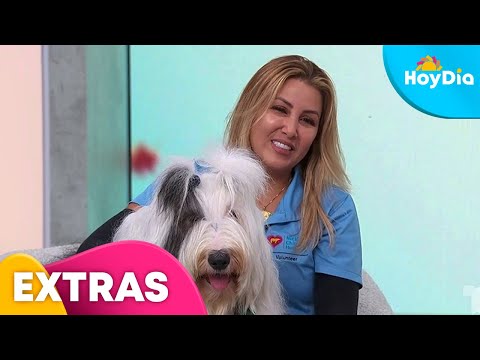 Acompáñanos a celebrar el Día Mundial de la Bondad | Hoy Día | Telemundo