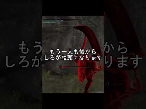 エルデンリング 地獄の侵入　しろがね頭糞ホスト登場！  ELDEN RINGDLC #elden #eldenringdlc #ダクソ3