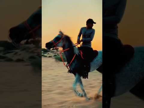 Desert horse ride #horse #horseriding #equestrian