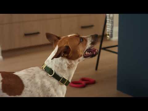 Freshpet Kitchen Conversations: Too Soon I :30