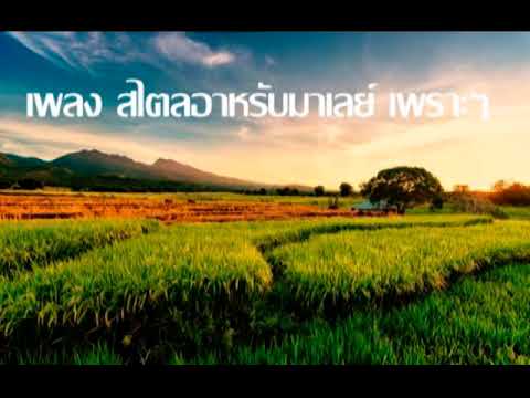 เพลงสไตล์อาหรับมาเลย์เพราะๆ