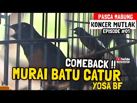 Gilaaaaa 😱 MURAI BATU CATUR 🔥 COMEBACK || Penonton Kaget PASCA MABUNG KONCER MUTLAK - YOSA BF