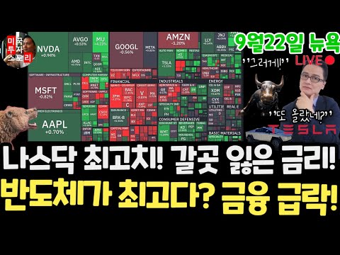 <strong>금융</strong> 급락!왜? 테슬라 엔비디아 <strong>구글</strong> 애플 아마존 메타 아이온큐 삼성전자 하이닉스 마이크론 테크놀로지 브로드컴 인텔 AMD 코어위브 델 루멘텀
