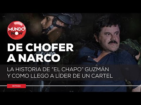 MUNDO NARCO: El Chapo Guzmán e chofer a líder de un cártel