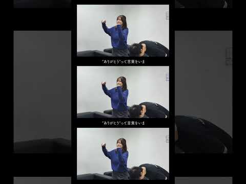 いきものがかり「超ありがとう」配信中！#shorts