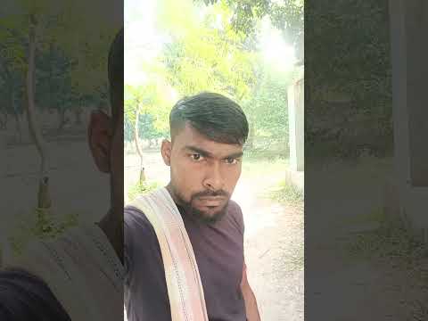 Alone BUILD LOG Cabin (Wooden House), How To Build Wooden Cabin, Surviva #timelapse