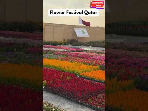 Flower Festival | Qatar Spring | Sulaiteen Farm House #flowers ##festival #flowerfestival #doha #fyp