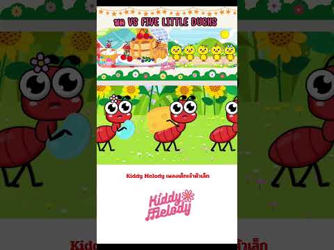 มดตัวน้อยตัวนิด VS Five Little Ducks | #เพลงเด็กเจ้าตัวเล็ก - Kiddy Melody