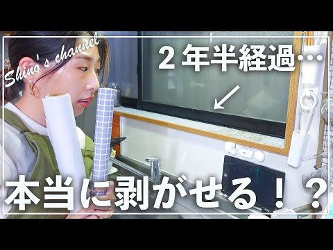 【100均】2年半経ったけど大丈夫？！ダイソーの貼ってはがせるシートを実際に剥がしてみた！！