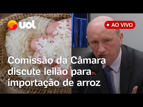 Importação de arroz: Comissão da Câmara discute leilão de compra internacional de arroz; assista