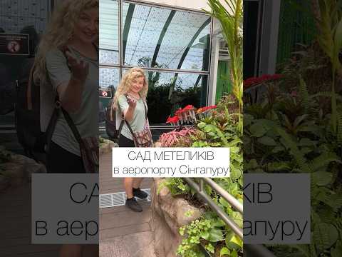 САД МЕТЕЛИКІВ в аеропорту Сінгапуру