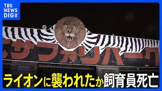 Lion mauls zookeeper to death