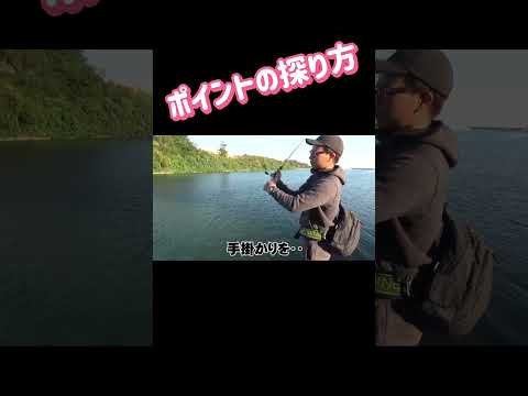 ポイントの探り方#沖縄釣り #fishing #釣り