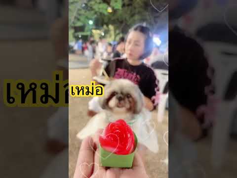 คนกำลังเหม่อกดติดตามกดไลค์เป็