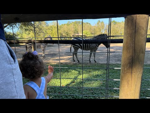 Family Day at our Local Zoo