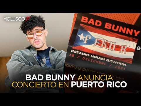 Lo que nadie sabe del concierto de BAD Bunny en diciembre en PR?? ( Enterate aquí )