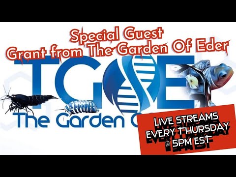 Special Guest- The oFISHial Show Welcomes Grant fr The Garden Of Eder YT Channel_
https_//www.youtube.com/channel/UC5m7aFCiaT13JPiAgIqtYSw

The Gard