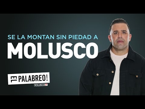 A MOLUSCO le hacen el (BU LLY1 NG) mas GRANDE de la historia #ElPalabreo