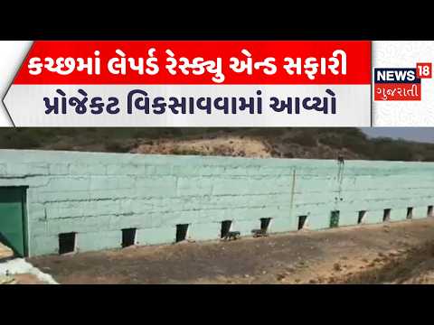 Kutch Forest Department | કચ્છમાં લેપર્ડ રેસ્ક્યુ એન્ડ સફારી પ્રોજેકટ વિકસાવવામાં આવ્યો | News18