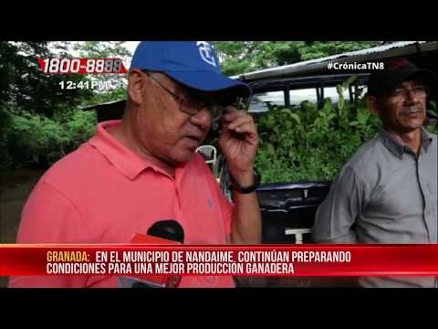 Nandaime: Productores reciben bono de plantas alimenticias para el ganado - Nicaragua