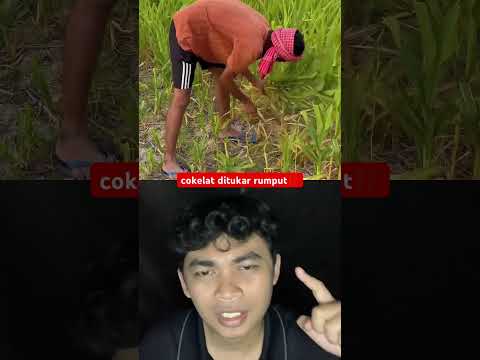 cokelat ditukar rumput⁉️ #shorts