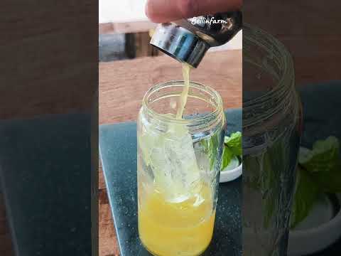 Lemon Honey Breeze เลม่อนน้ำผึ้ง เครื่องดื่มคลายร้อน เพิ่มความสดชื่น คลิปเต็มอยู่ใน BellinFarm EP.6