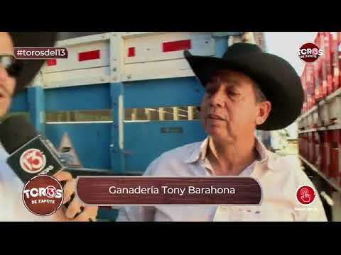Entrevista a Tony Barahona ganadero