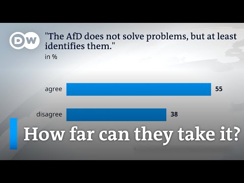 How should the other parties in Germany deal with the far-right AfD? | DW News