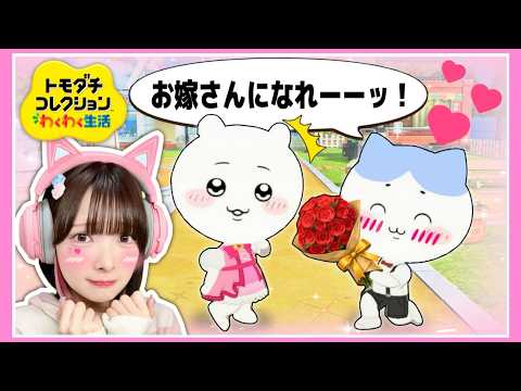 ついにプロポーズ！？恋多き住民たちの暮らす島が面白い🏝💘【トモダチコレクションわくわく生活】【たまちゃん】