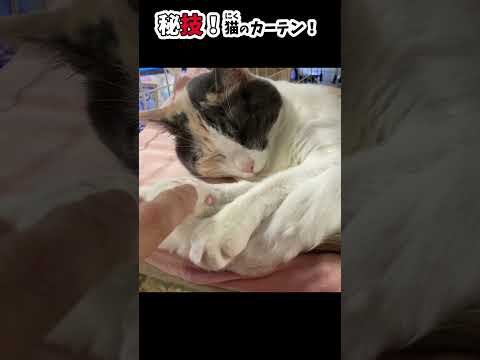 thumbnail_MRnWFM6AkzU