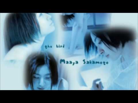 MAAYA SAKAMOTO birds（歌詞付き）
