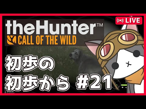 thumbnail_MSAD80dOuJA
