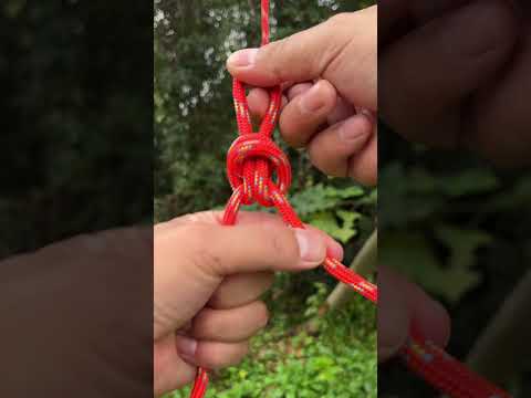 Wow, Genius Knot in the wild.