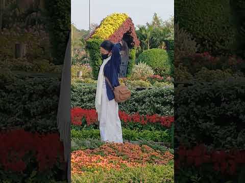 nói đến 3cô gái #xuhuong