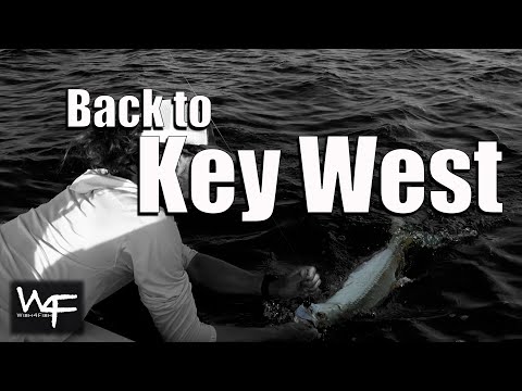 W4F - Fly Fishing 'Back to Key West'