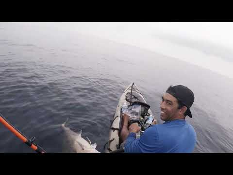 Where The Wild Tingz Stay: Pulled Up a Reef Donkey – Worth Keeping? (From the Vault)
