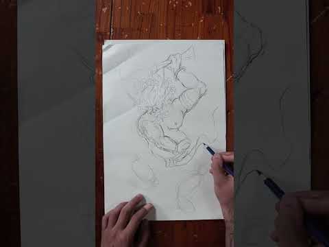 Cho ae học vẽ nhé sp của tusu studio