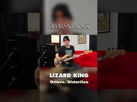 EHX Lizard King Bass Octave Fuzz Pedal Overview