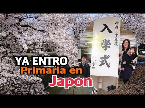 El protocolo para  la Primaria en Japon+LLEGARON LOS SAKURAS