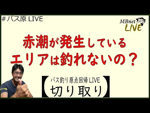 【フィールド学】赤潮が発生したエリアは釣れないの？バス釣り原点回帰ライブ切り取り