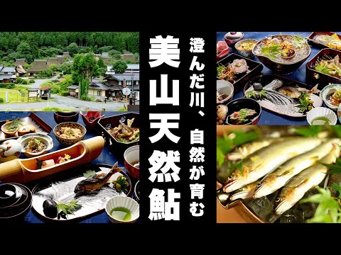 京都・美山町の天然アユ|夏だけの贅沢を綾部の料亭「ゆう月」で味わう旅