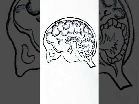 How to draw//Simple drawing/ Easy drawing #art #shorts #short #drawing #brain #biology #science #1m