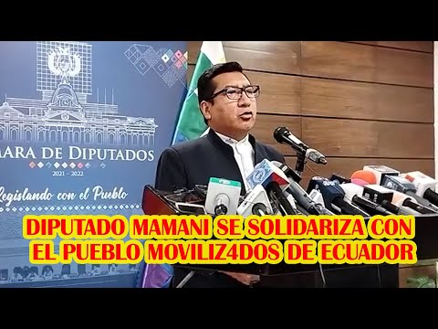 DIPUTADO MAMANI MENCIONÓ QUE INFORME DE RELATOR FELICITA BOLIVIA POR LA ADMINISTRACIÓN DE JUSTICIA