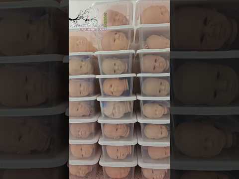 HUGE Reborn Doll Kit Inventory 😱 #shorts #artist #rebornbaby